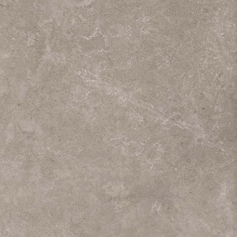 8163 На пол Shell DG 60х60 - фото 4