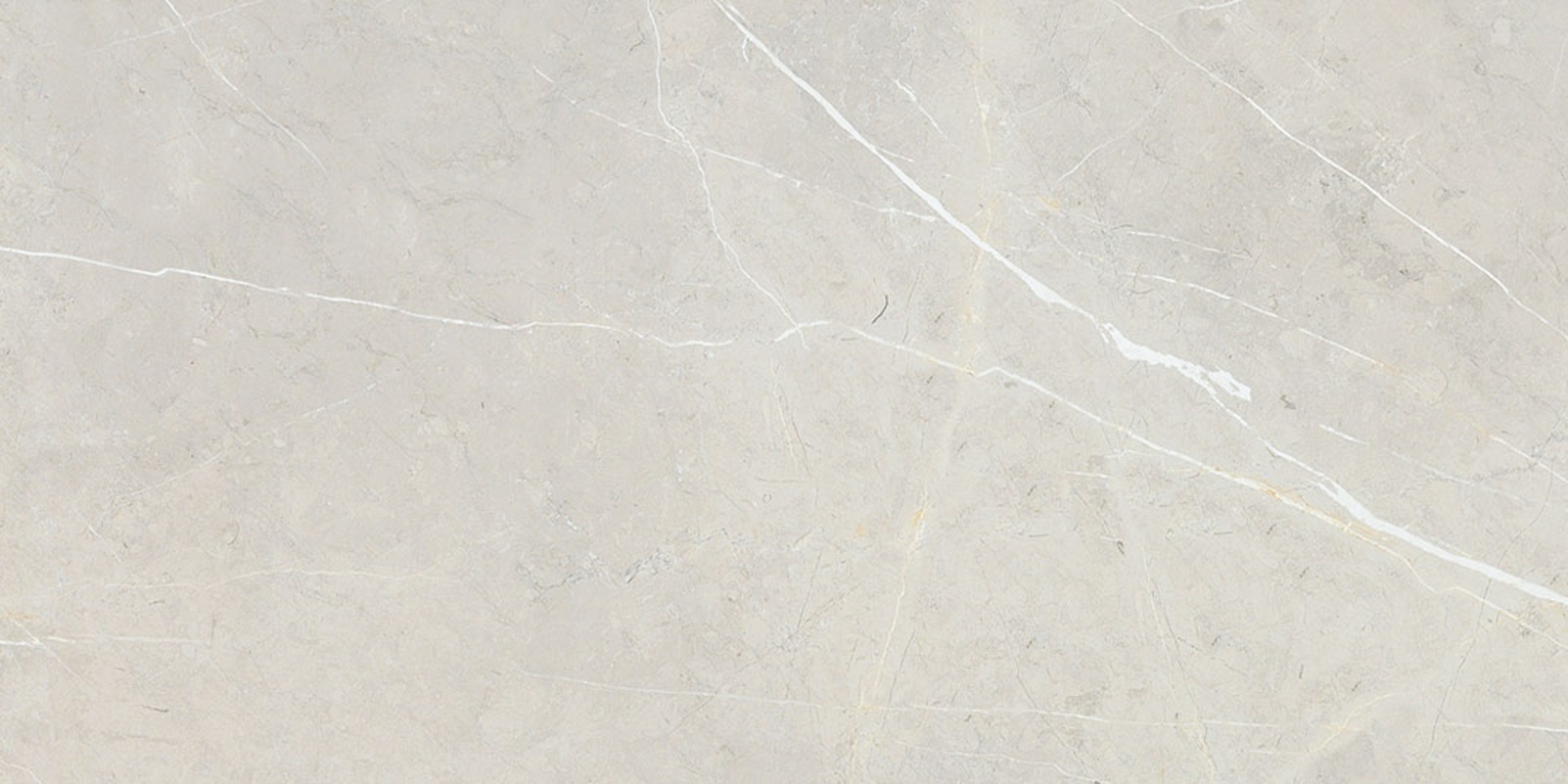 BB612NTT9101P На пол Bright And Shiny BB612NTT9101P - фото 3