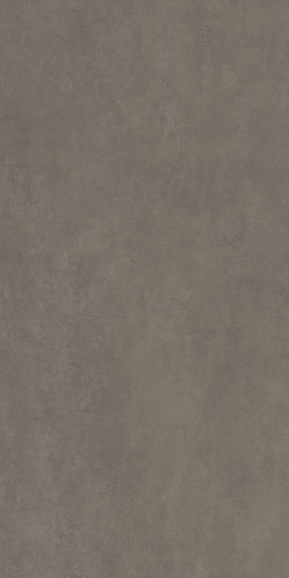 DD571890R На пол Про Догана Коричневый матовый обрезной 80x160x0.9 - фото 4