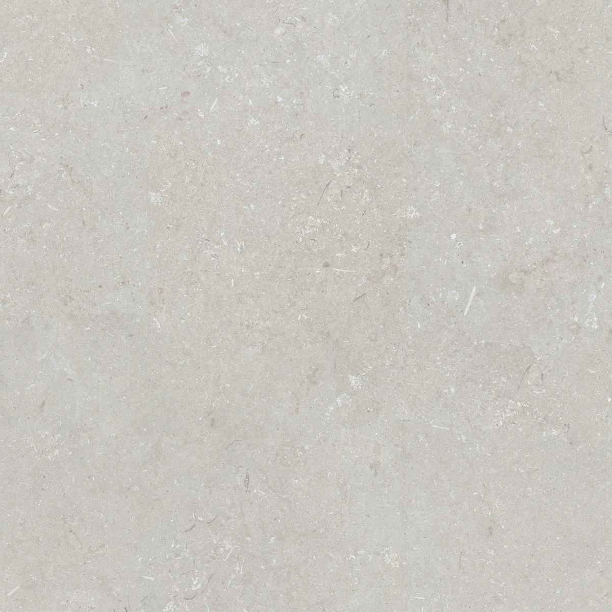 005847 На пол Shellstone Bianco 120x120