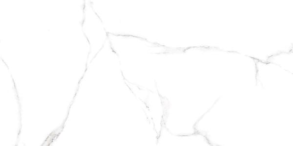 GFU60120CRR00R Напольный Carrara Белый матовый 120x60 - фото 2