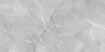 AB 1142G На пол Armani Silver Gloss 120x60