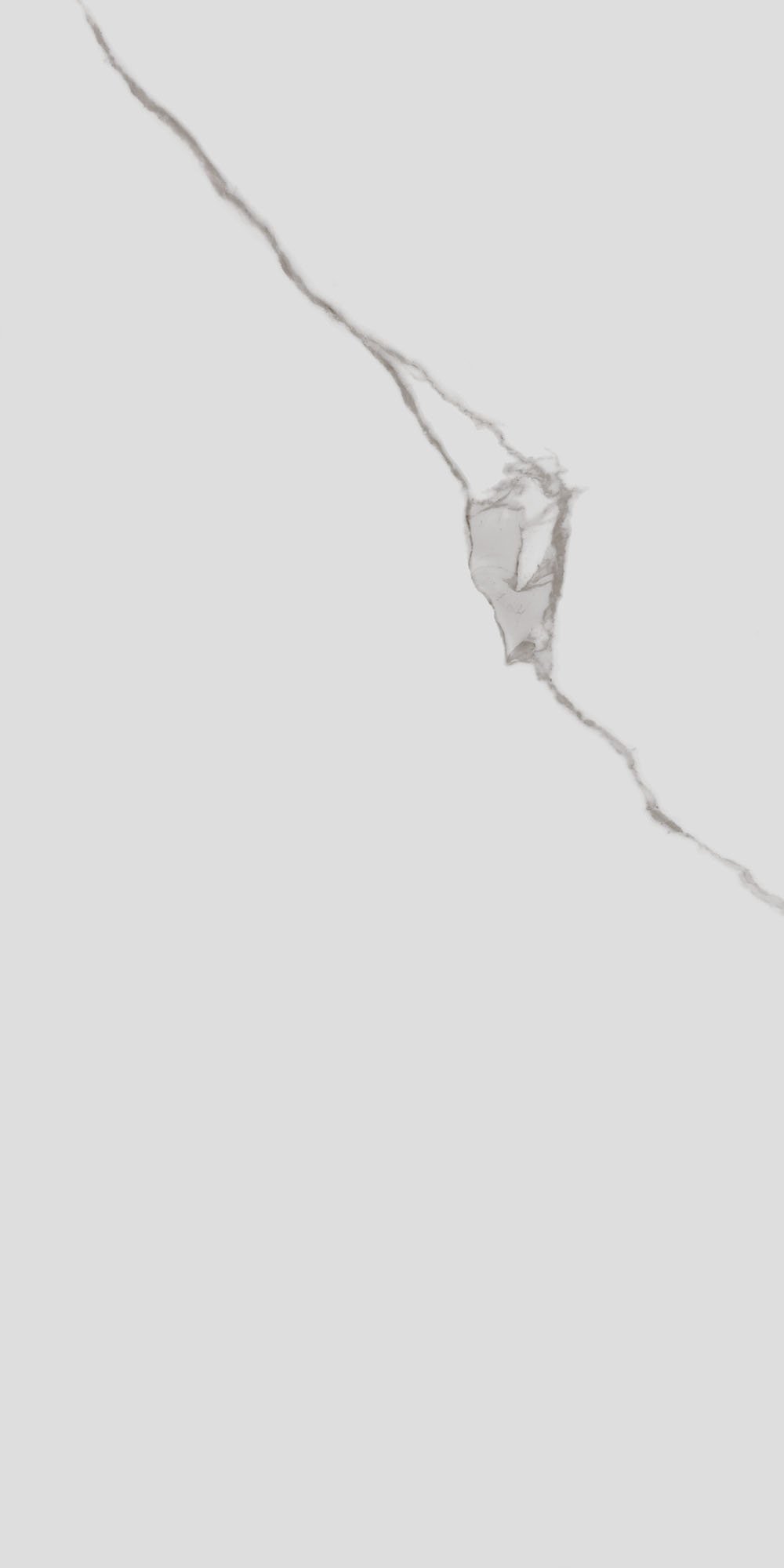 48011R На стену Монте Тиберио Белый глянцевый обрезной 40x80x1 - фото 6