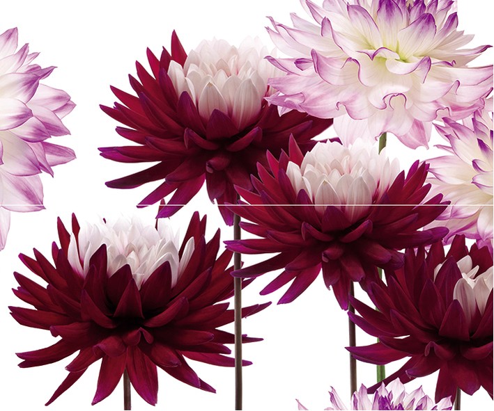 Панно Porto Dec. Flower B (из 2пл) 50х60