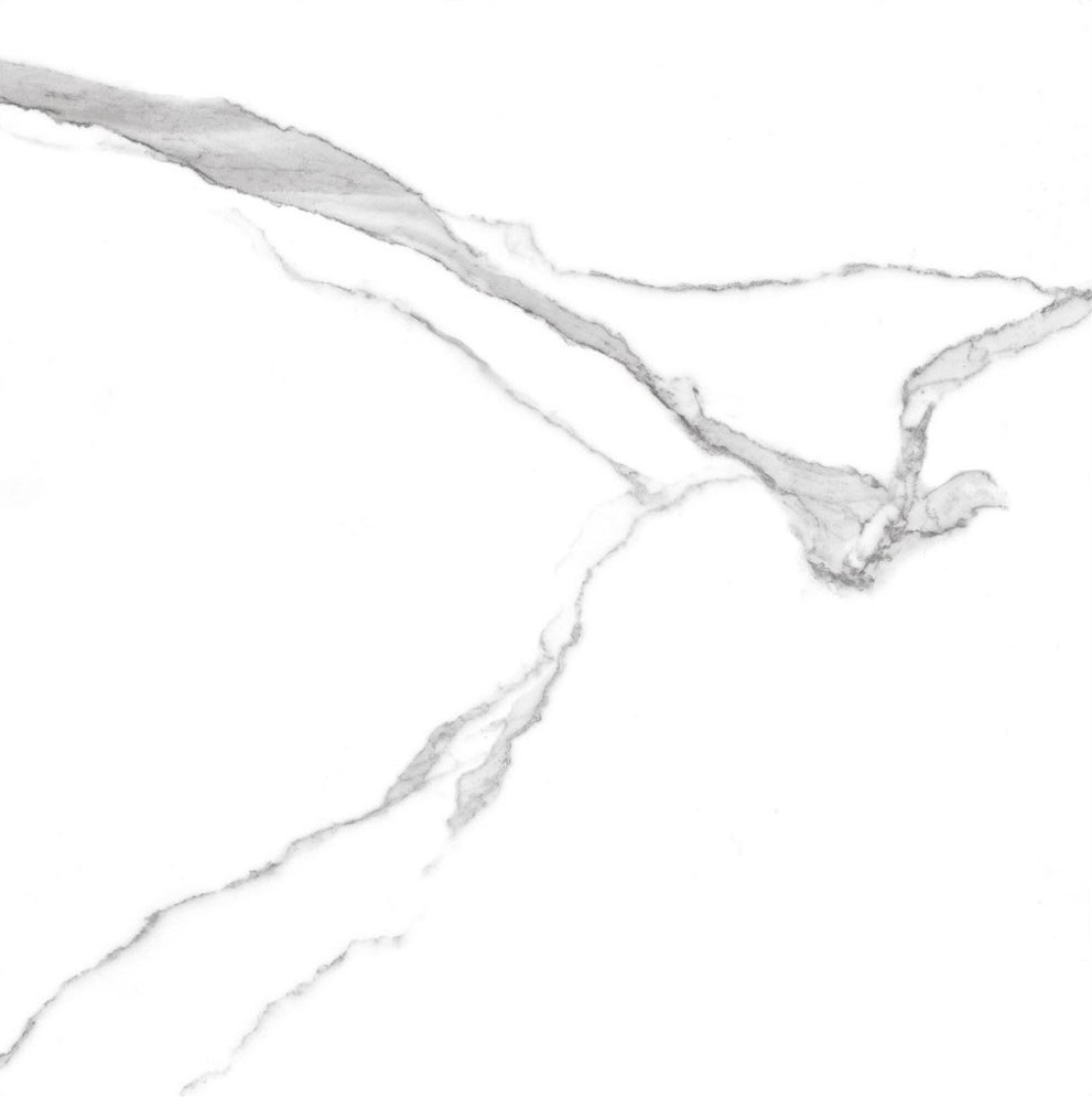 GT60601503PR На пол Anima Белый полированный 60x60 - фото 3