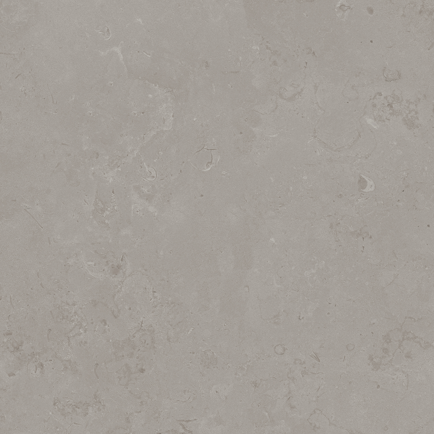 DD640900R На пол Про Лаймстоун Про Лаймстоун Серый Натуральный Обрезной 60х60 - фото 3