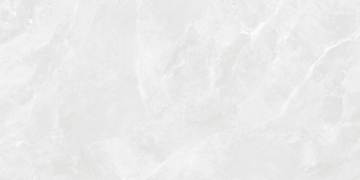 CR6012G0401R На пол Regnum Bianco светло-серый матовый 59.5х119.1 - фото 5