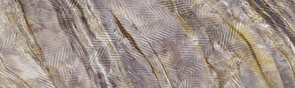 На стену Vivid Red Louise Floret