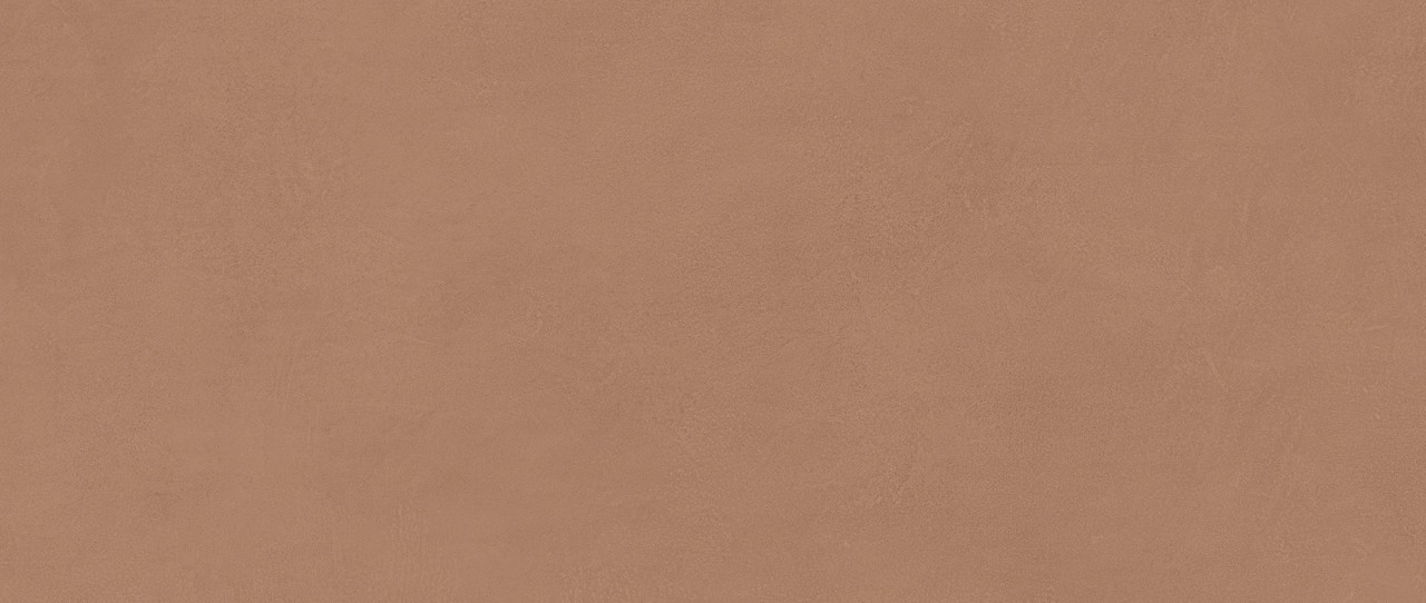 AYR9 На стену Boost Expression Sienna Matte 50x120