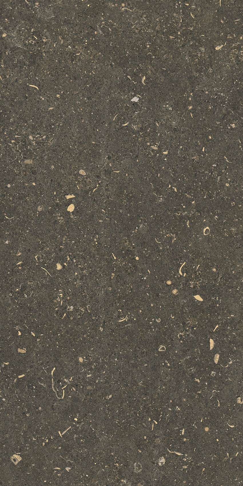 785503 На пол Rinascenza Arena Platino Grip 30x60 - фото 3