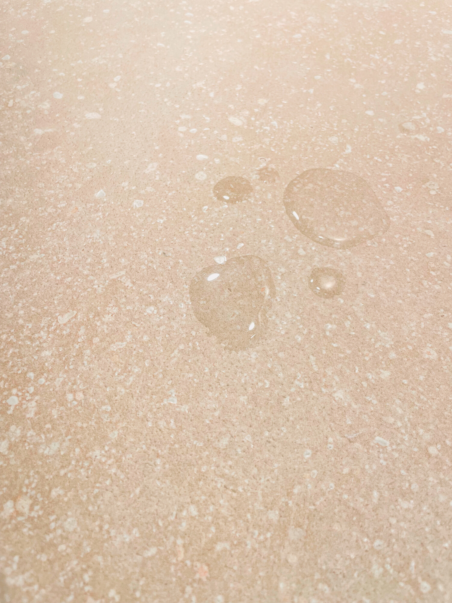 Harmony Cosmos - фото 7