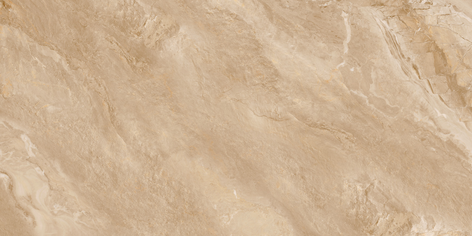 60120RGE31M На пол Argenta Bronze матовый карвинг 600x1200x7 - фото 7