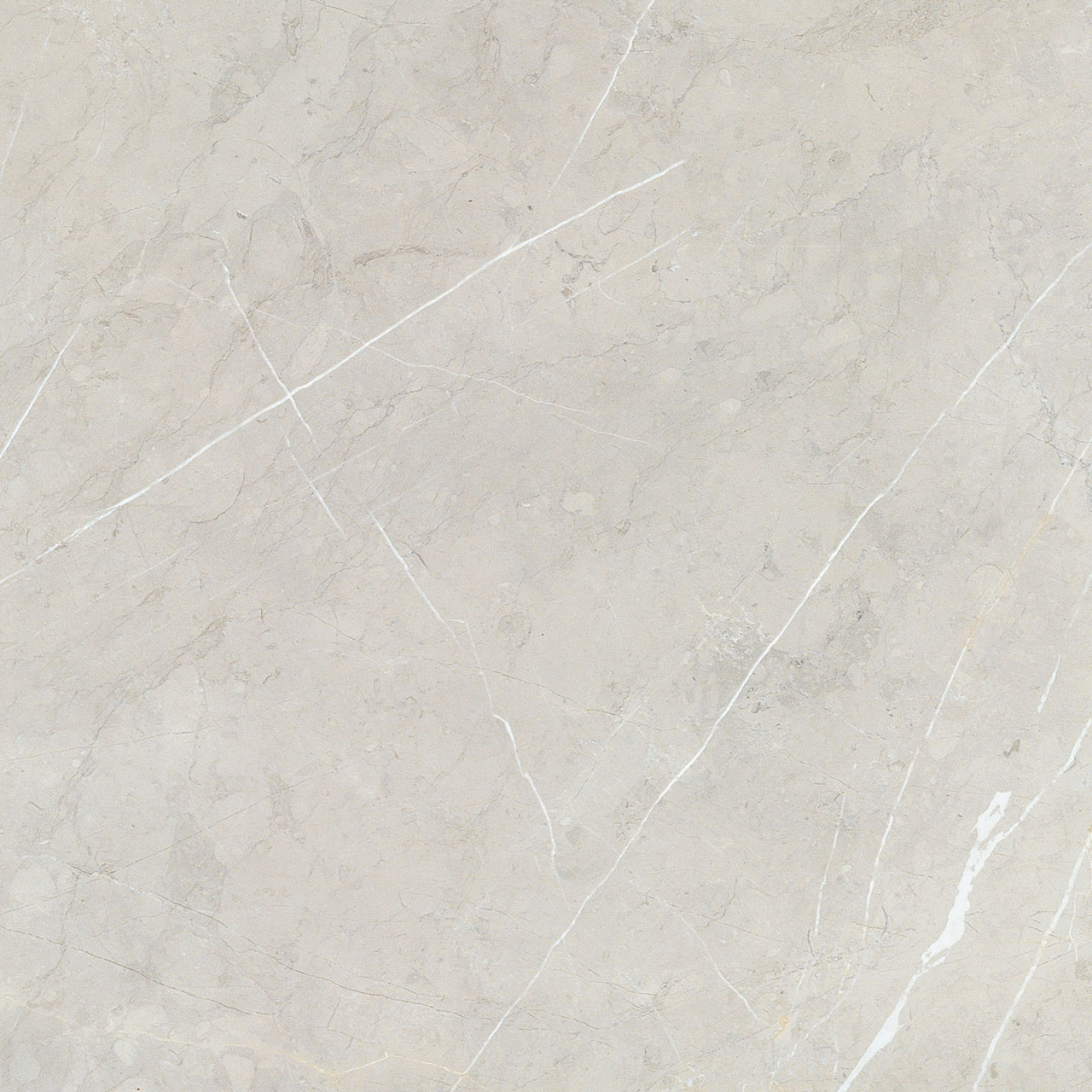 BB6NTT9101P На пол Bright And Shiny BB6NTT9101P - фото 6