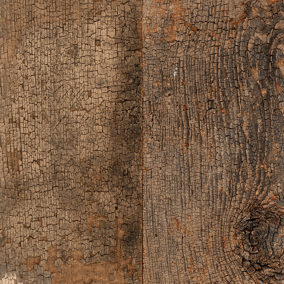 18152 На пол Fs Segarra Fs Seattle - фото 11