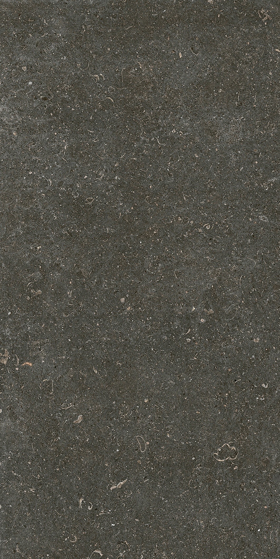 785577 На пол Rinascenza Arena Platino Matte 6mm 60x120