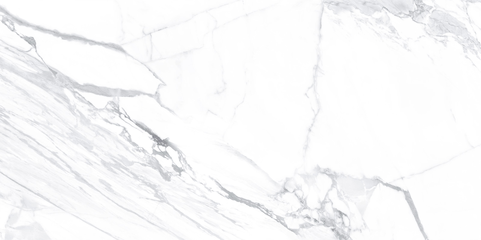 WT9LIM00 На стену Albion Calacatta Глянцевая - фото 4