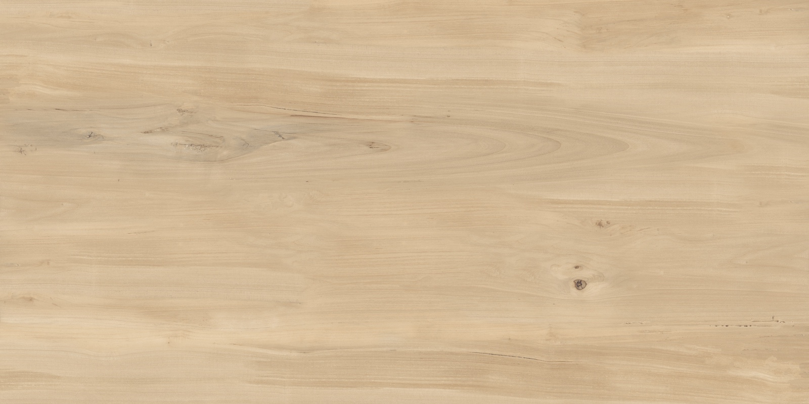 FVL4511M На пол Forest Sweet Home Matt 60x120 - фото 6