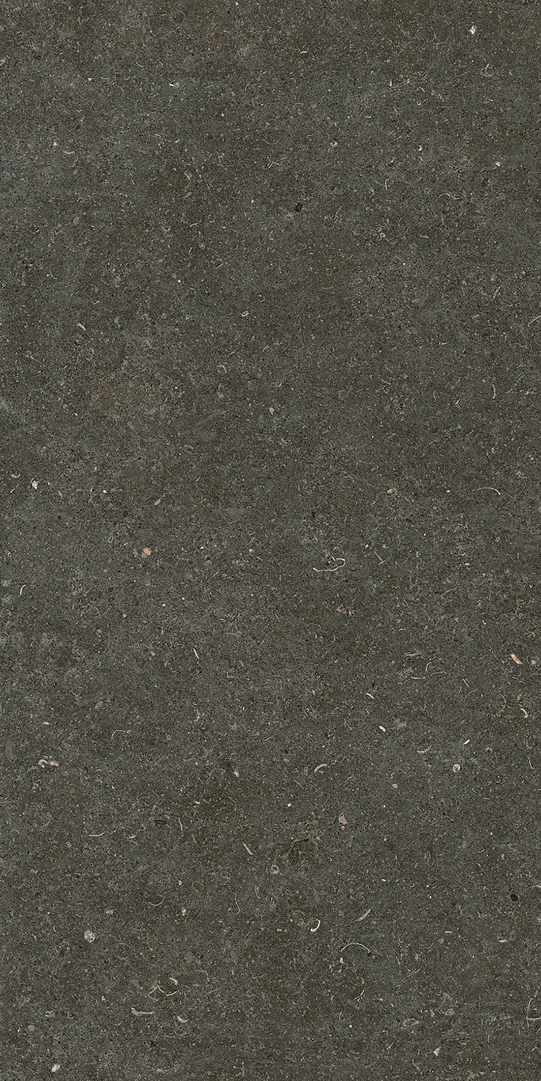 785577 На пол Rinascenza Arena Platino Matte 6mm 60x120 - фото 5