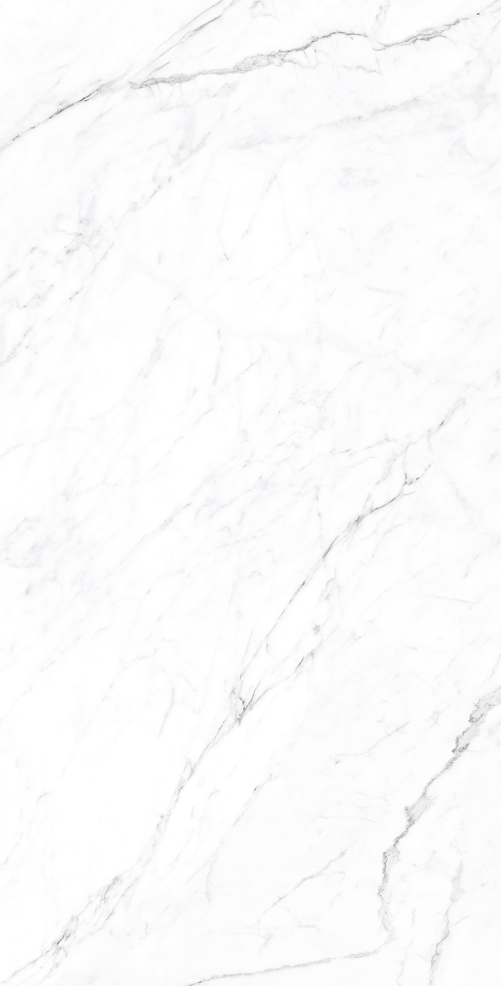 CP4003-A На пол Coralina White Carving Pro 60x120 - фото 5