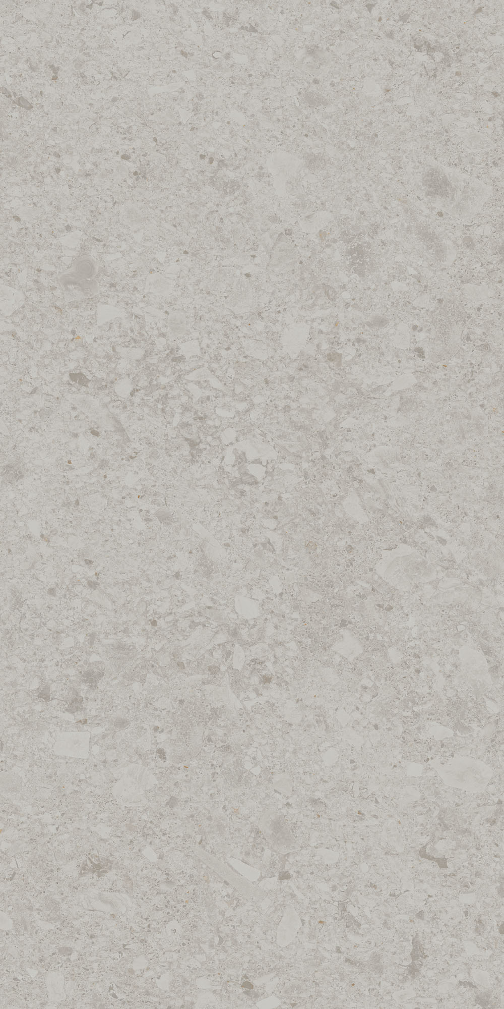 DD591220R На пол Чеппо ди Гре Серый светлый матовый обрезной 119.5x238.5x0.9 - фото 7