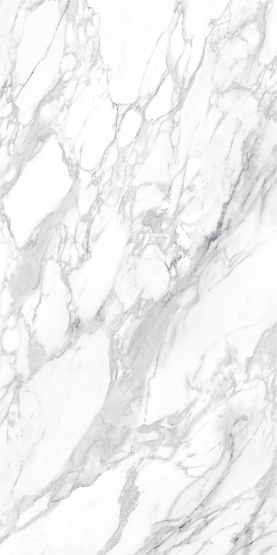 010400001373 На пол Platinum White PG 11 60х120 - фото 4