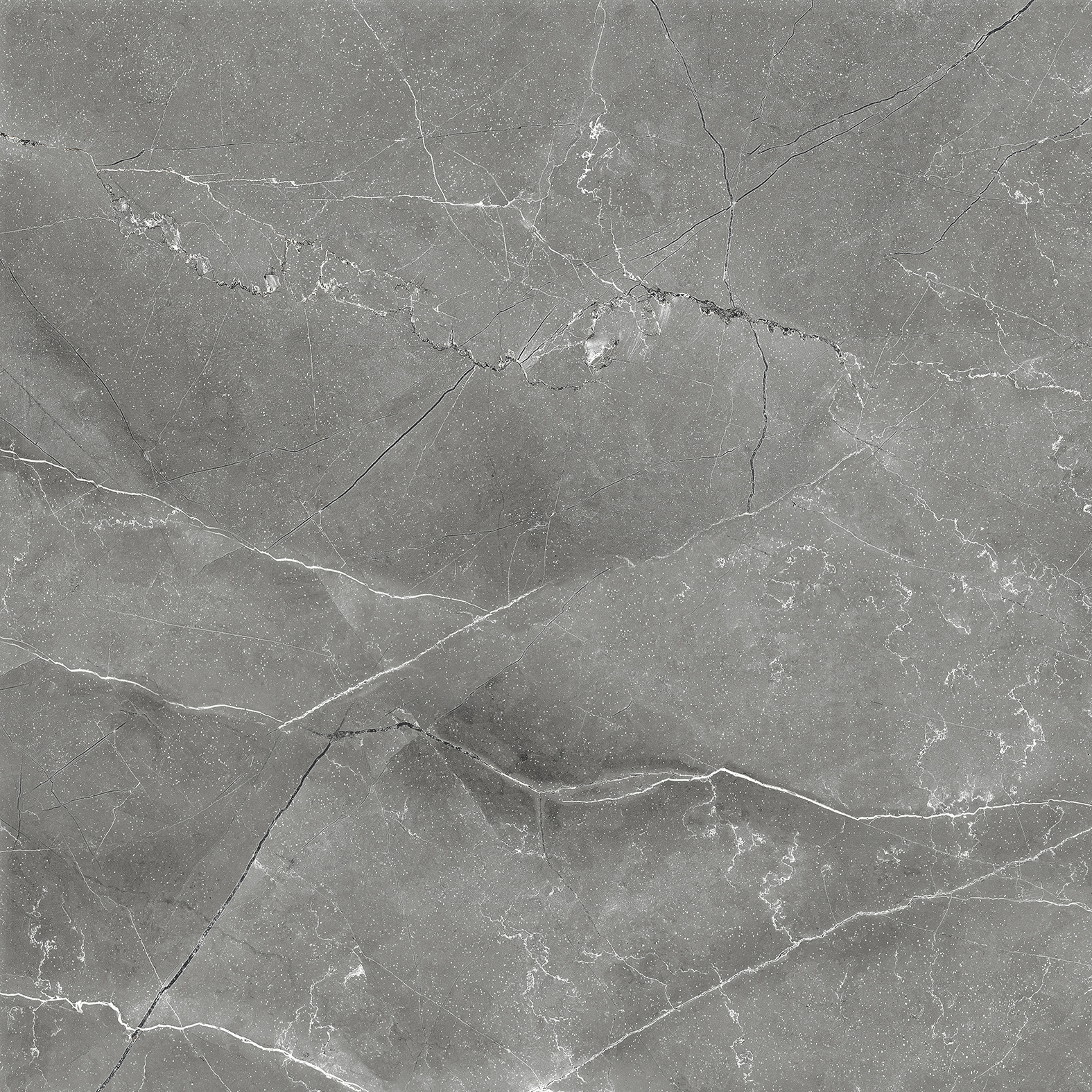 CR6011-A На пол Pulpis Nero Carving 60x60