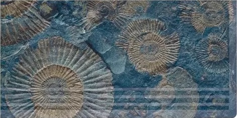 FMSCR Ступень Natural Series Fossil Mix Right Antislip 33х66