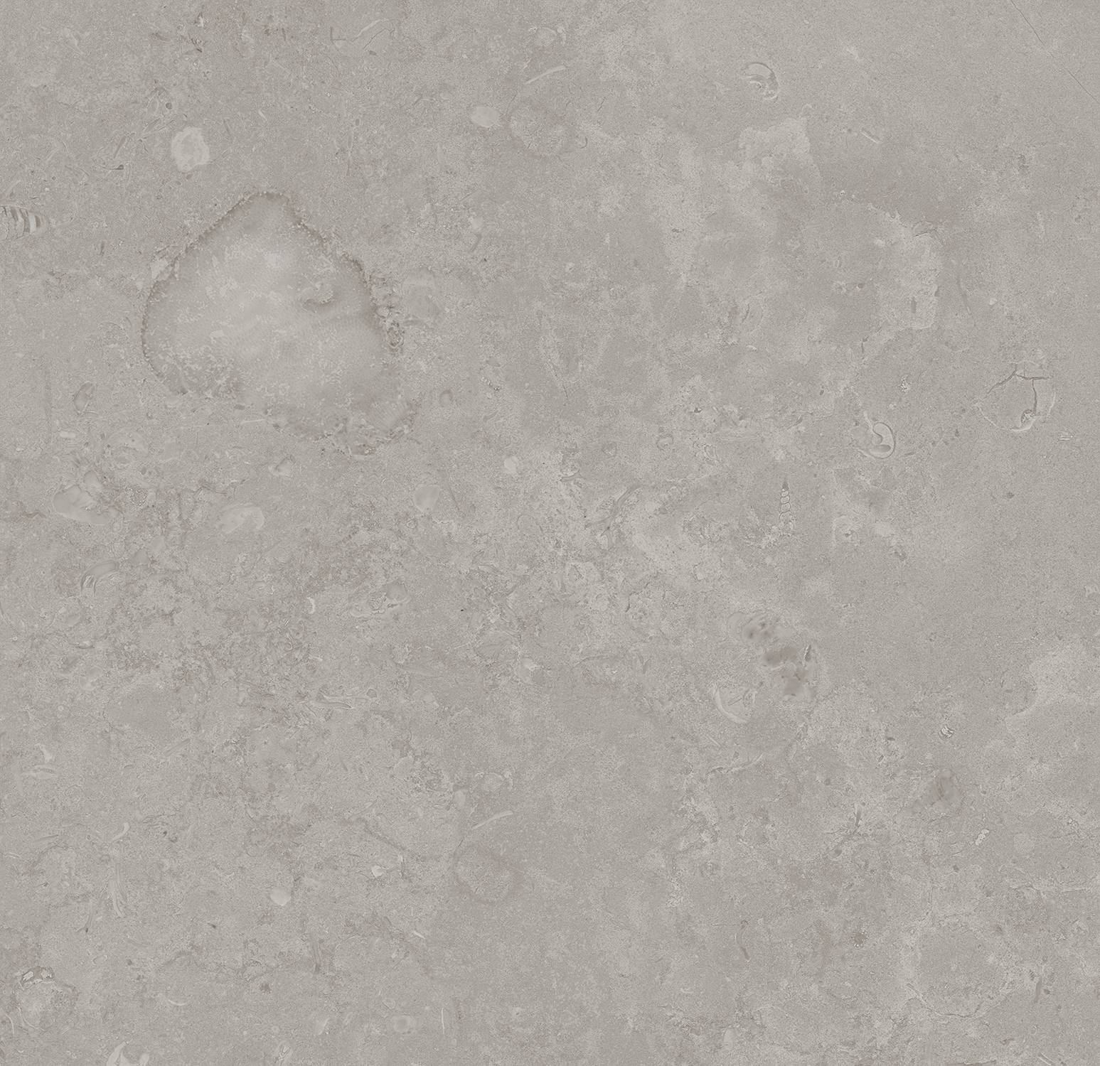 DD640920R На пол Про Лаймстоун Серый натуральный 9мм 60х60 - фото 13