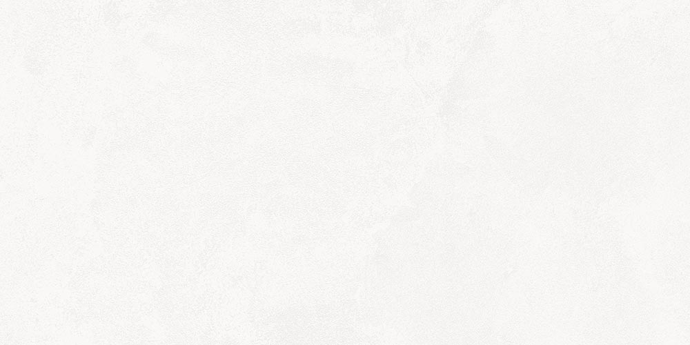 4ZMJ На пол New York R Blanco R10 60x120