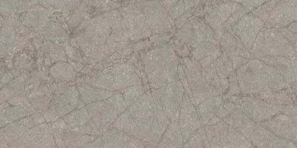 PF60011839 На пол Supreme Memories Grey Soapstone Nat 60x120