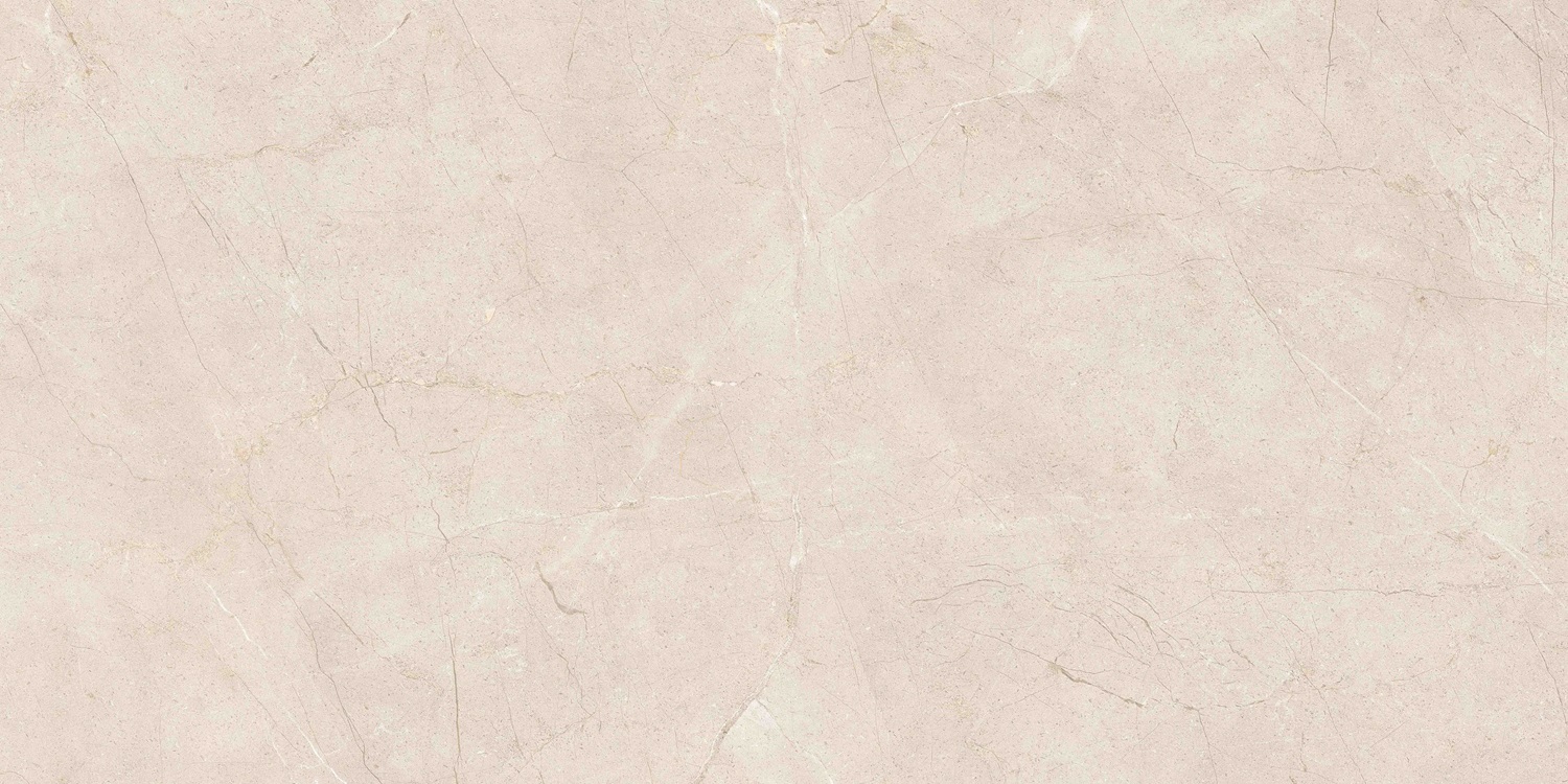 K958007R0001VTER На пол MoonLight Греж Матовый R10A Ректификат 60x120 - фото 6