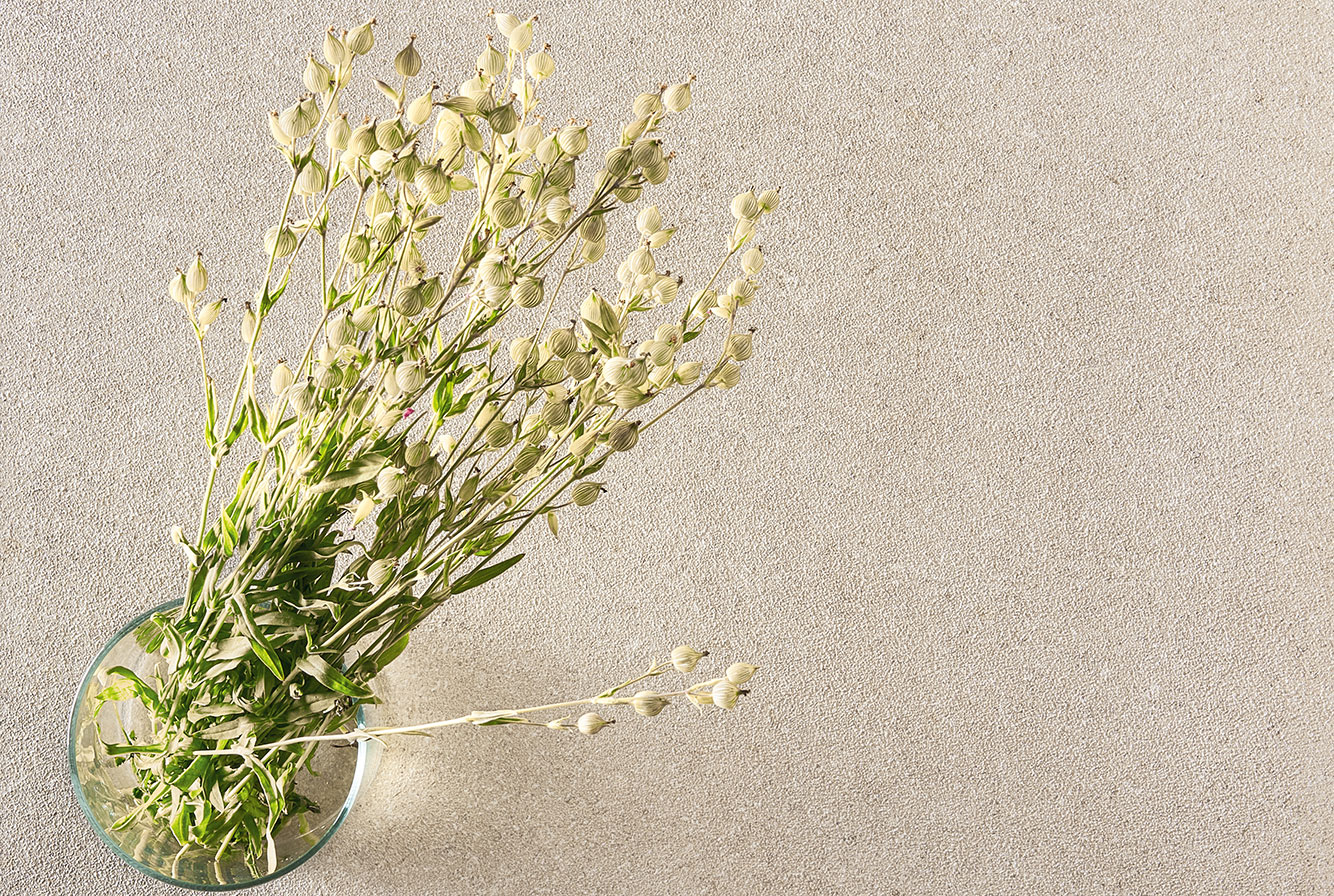 41ZERO42 Superclassica SCB - фото 27