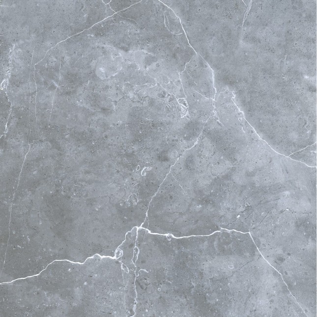 GRS02-16 На пол Petra Northern Silver 60x60 - фото 2