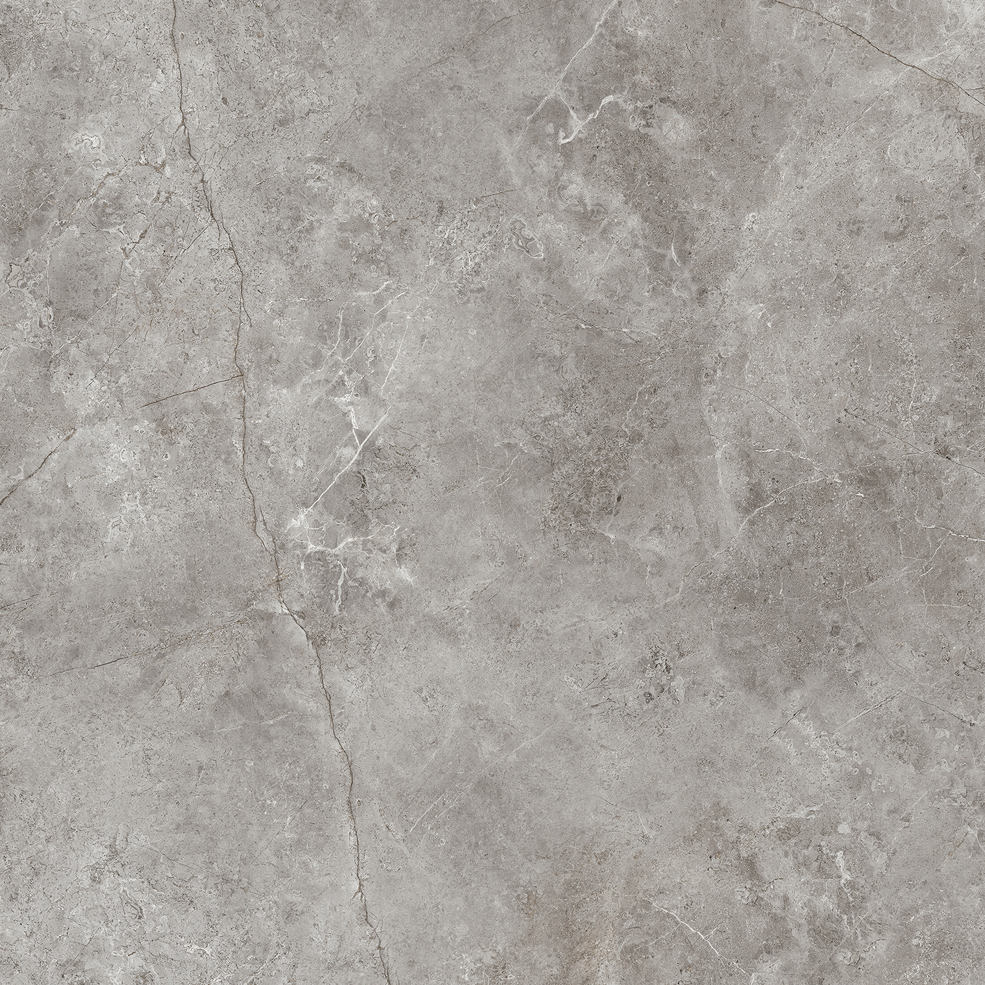 100331094 На пол Fiori Di Bosco Polished 120x120