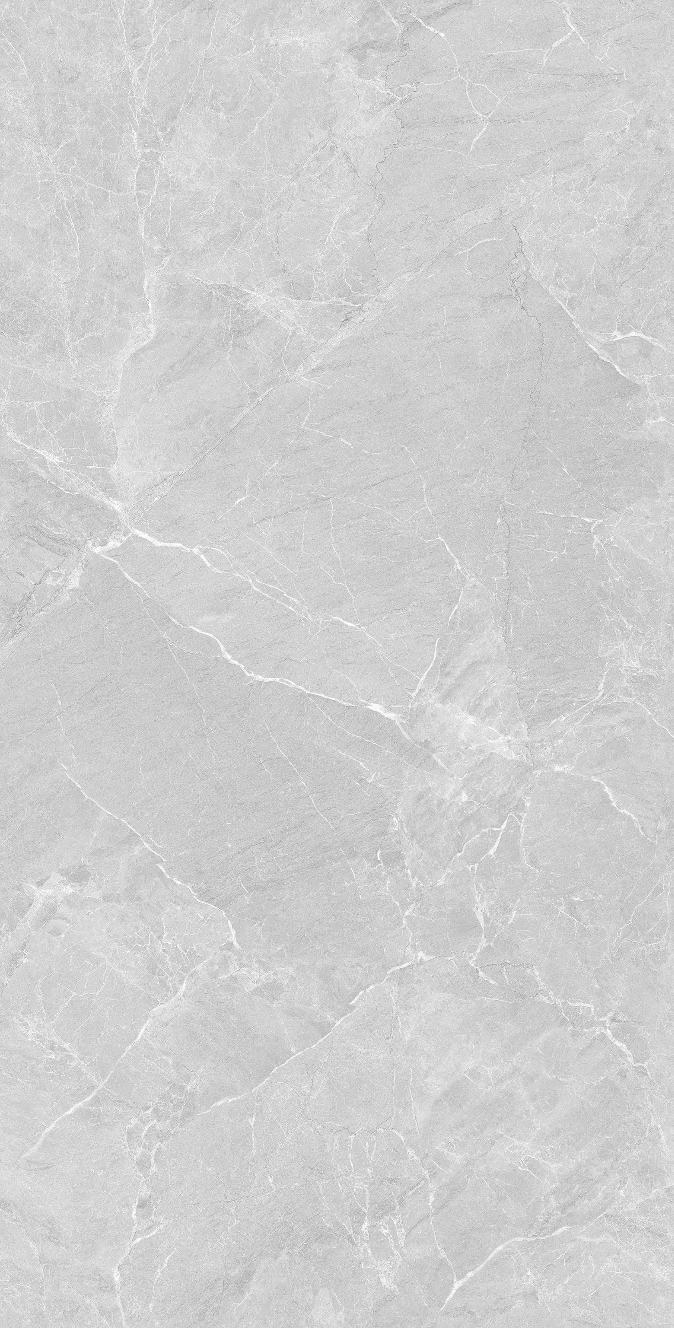 На пол Lithos Light Grey Sugar Polished 60x120 - фото 3
