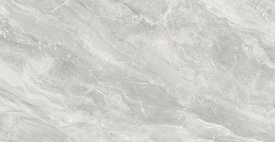 NSC4081 На пол Porcelain Tile 4081 Серый глянцевый 40x80
