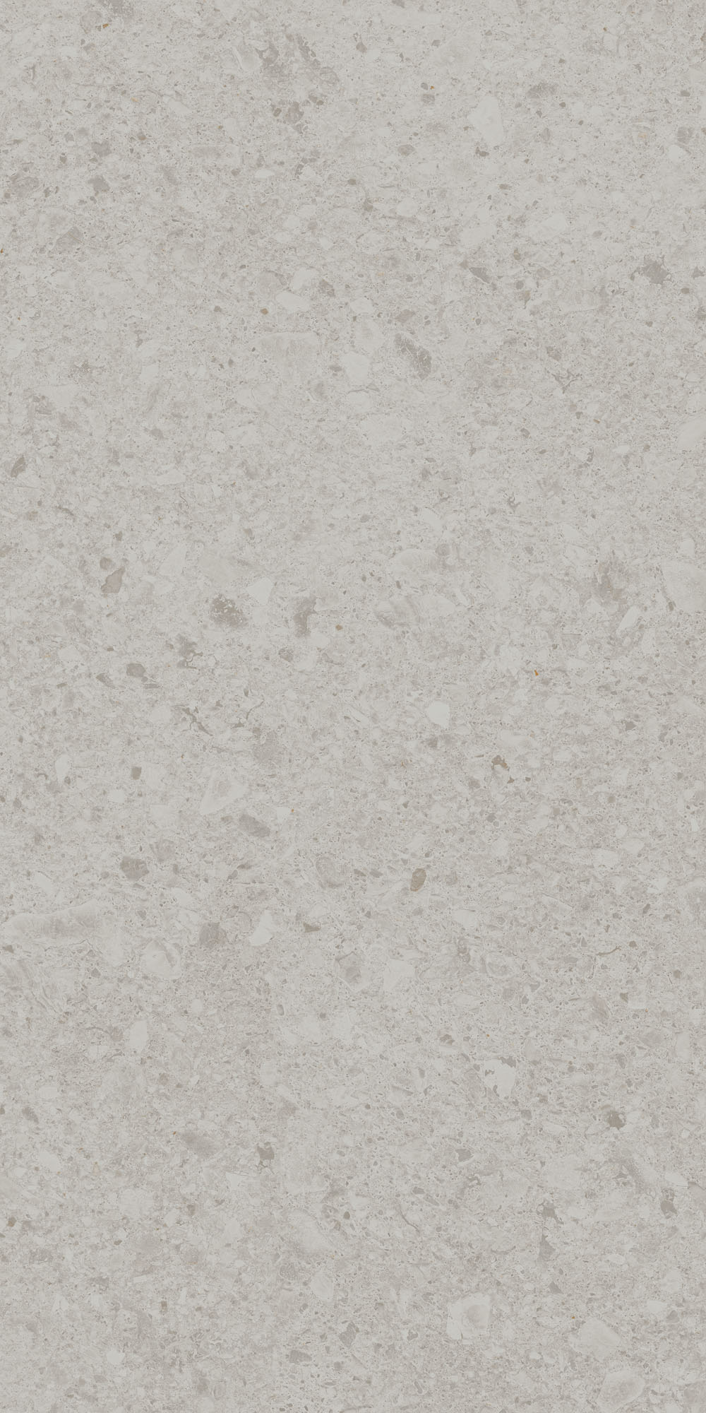 DD591220R На пол Чеппо ди Гре Серый светлый матовый обрезной 119.5x238.5x0.9 - фото 5