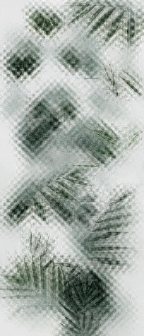 PF60010092 На стену Art Walls Beyond Lux R 120x280