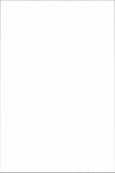 8063 На стену Аджанта Тигр Белый