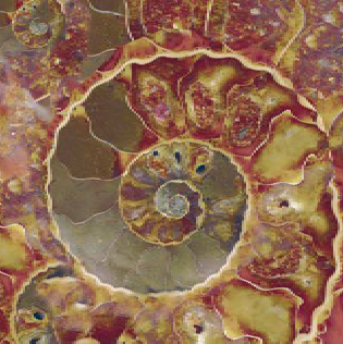 FM3333 На пол Natural Series Fossil Mix 33х33 - фото 11