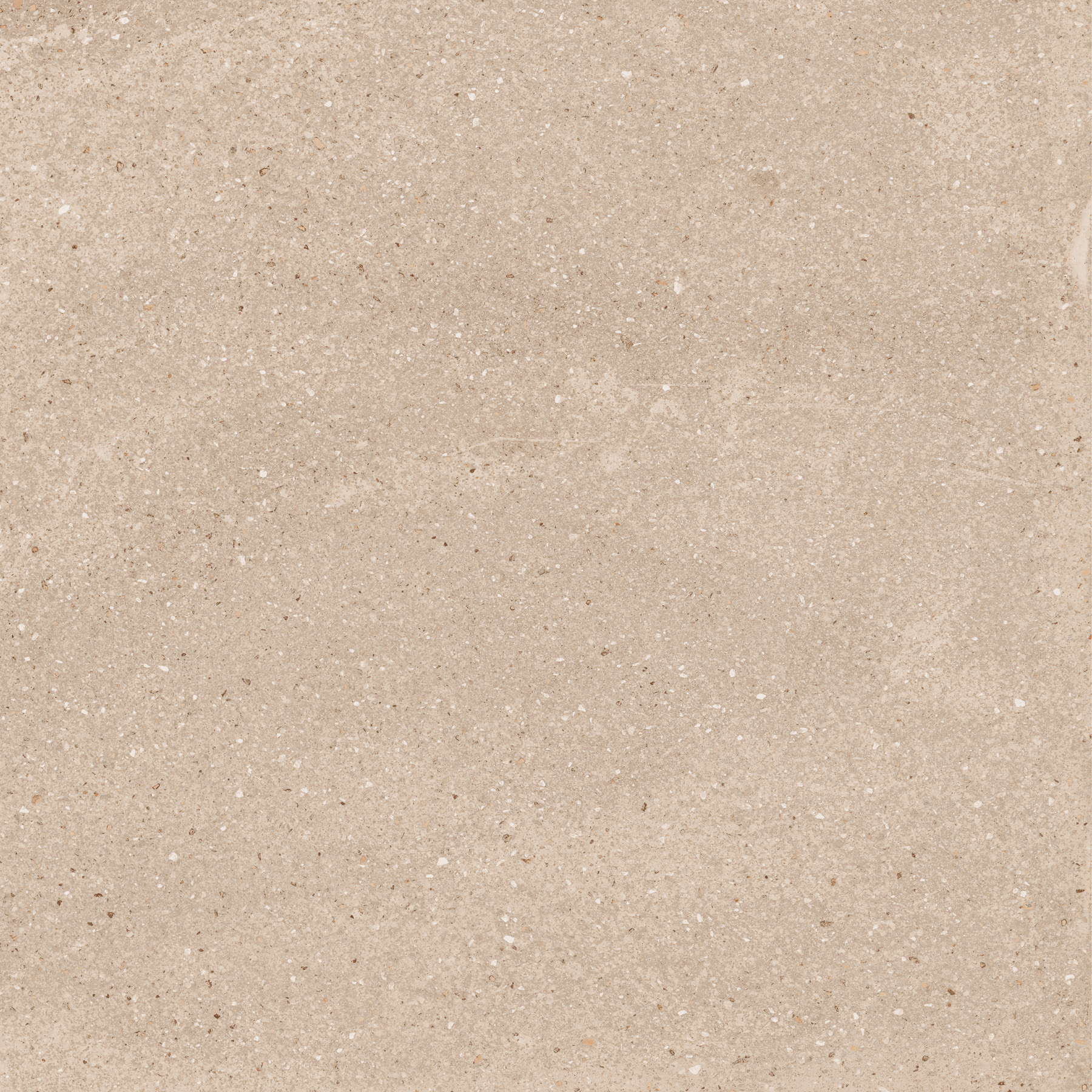 EX-205 На пол Treviso Beige Матовая рельефная R11 60x60 - фото 9