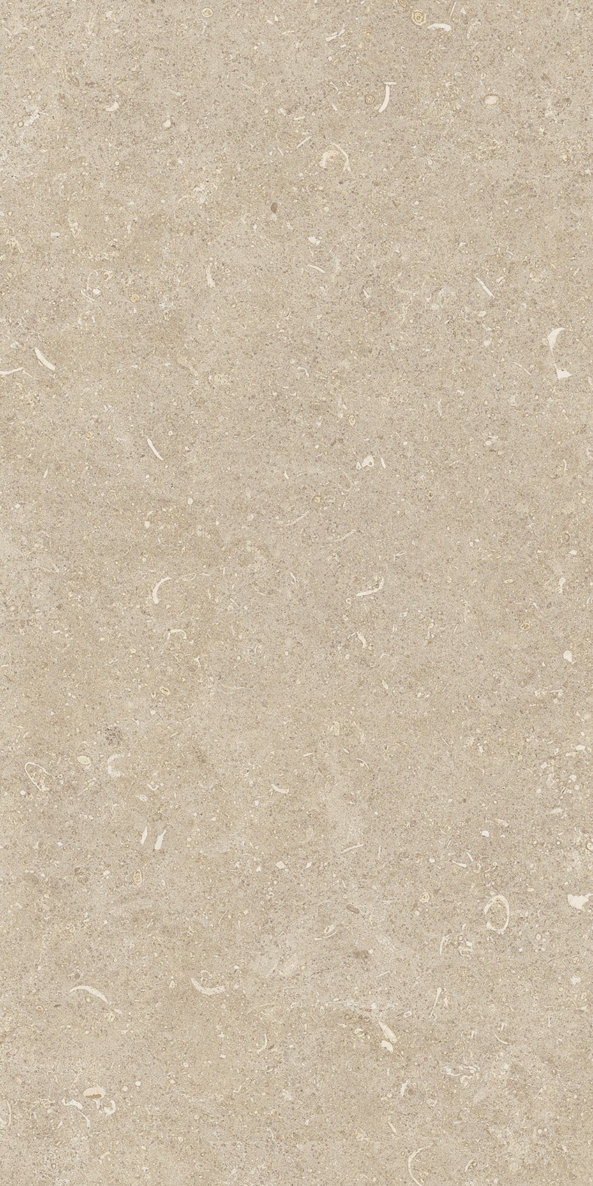 785489 На пол Rinascenza Arena Conchiglia Matte 30x60 - фото 10