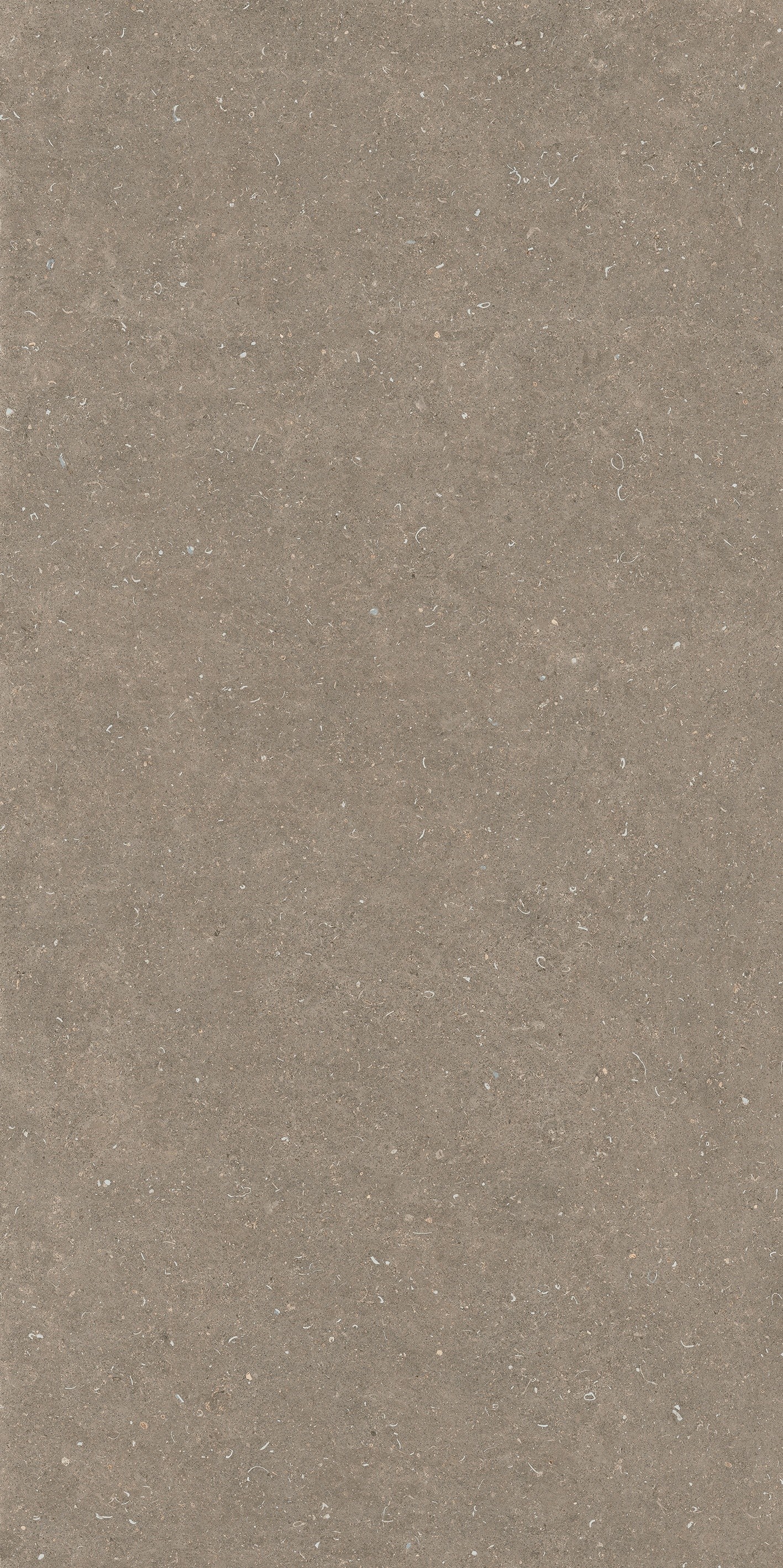 785584 На пол Rinascenza Arena Pietra Matte 6mm 120x240 - фото 2