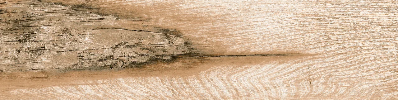 PH 0054 На пол Phoenix Phoenix - фото 5