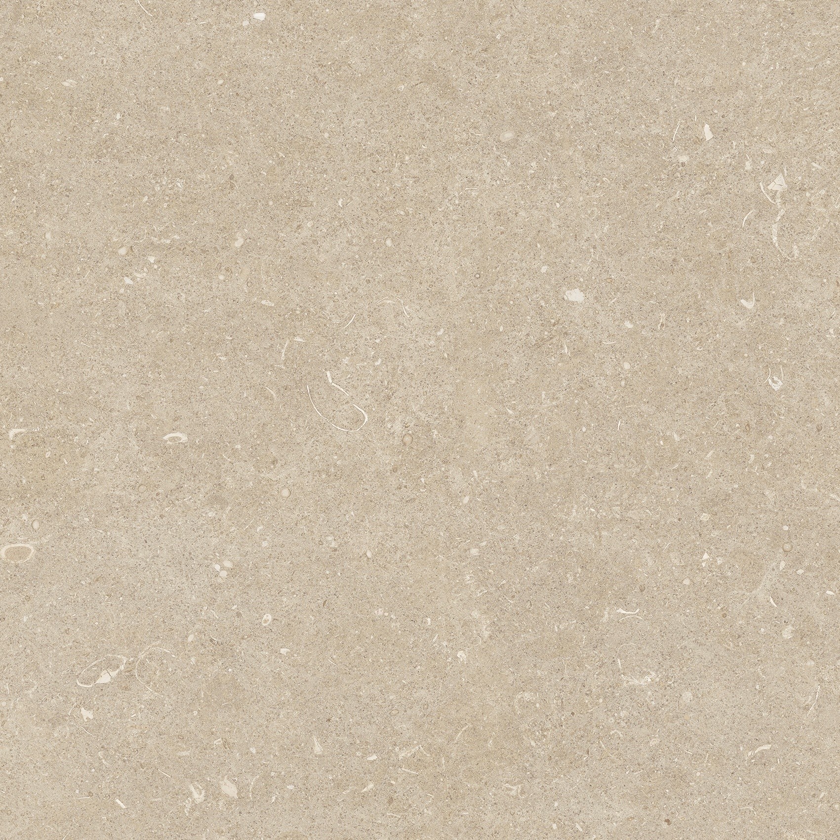 785505 На пол Rinascenza Arena Conchiglia Grip 20mm 120x120 - фото 2