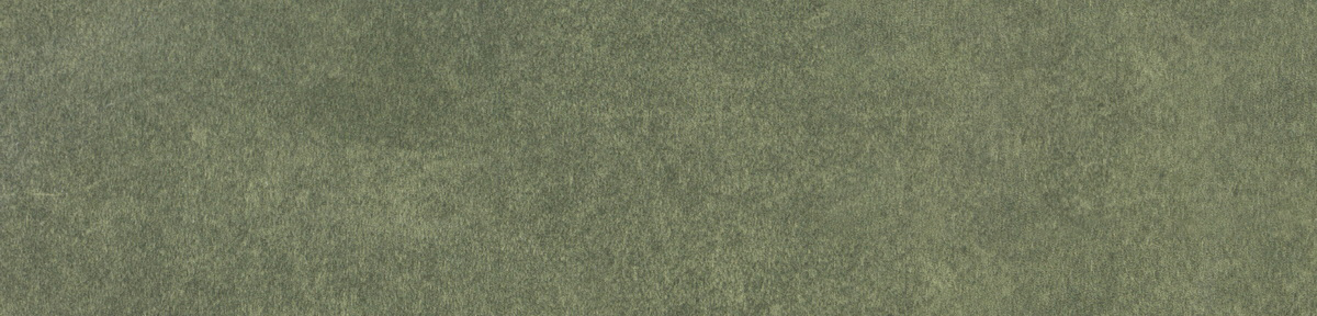 На стену Levels Forest Glossy 6x25