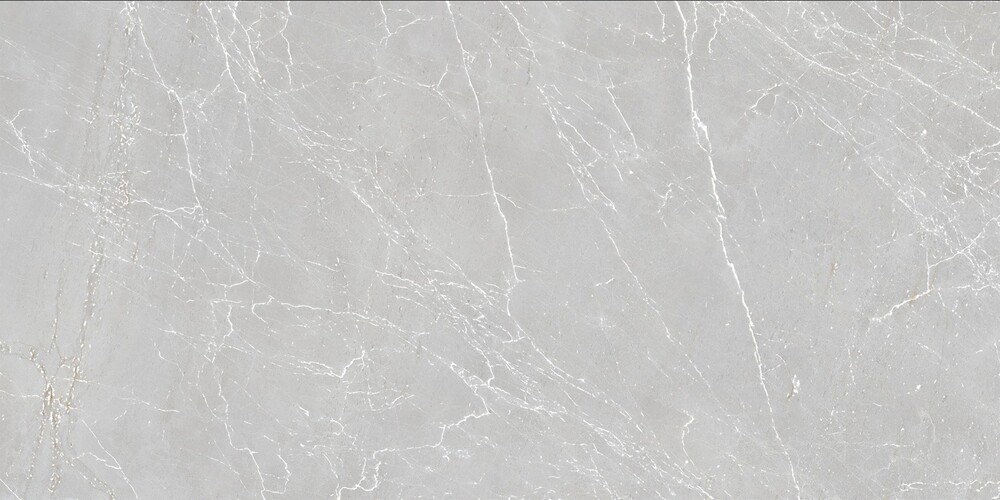 RP-238576  Eternal Grigio Carving 60x120