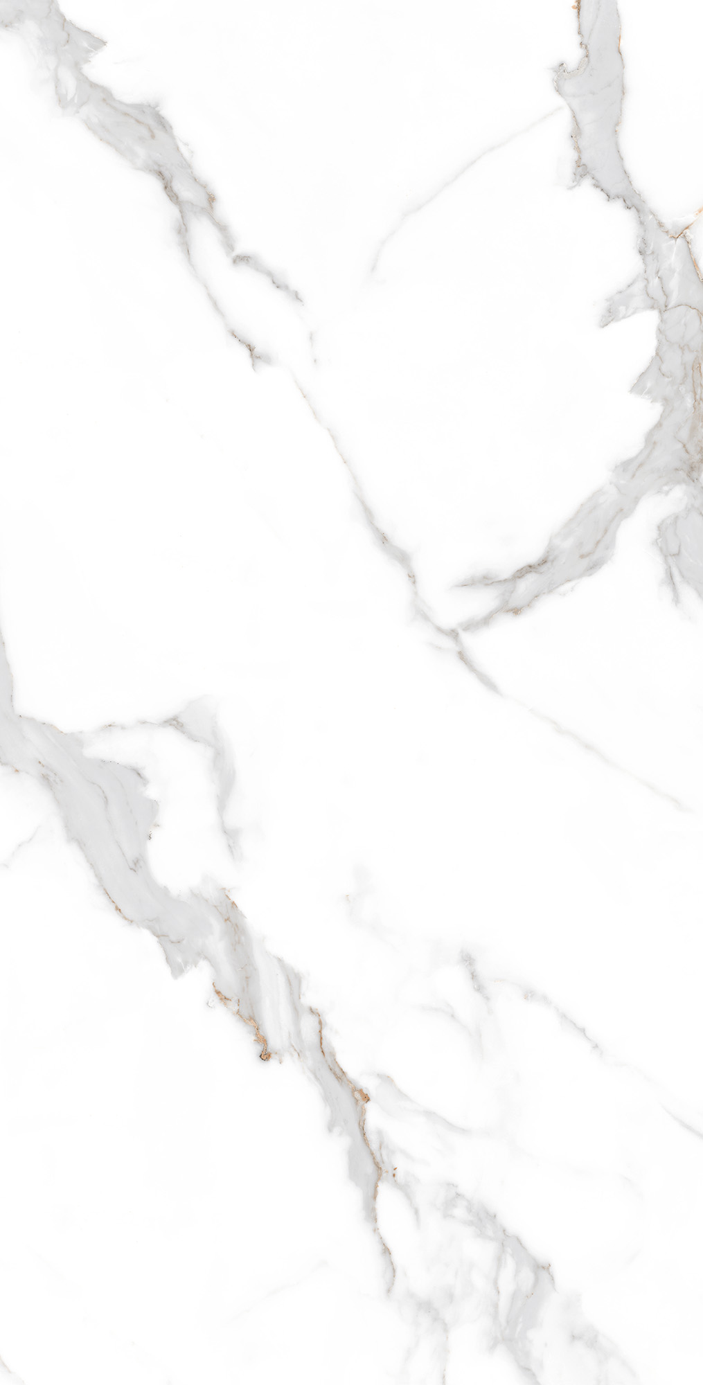 CP4001-A На пол Statuario Seville Carving Pro 60x120 - фото 2