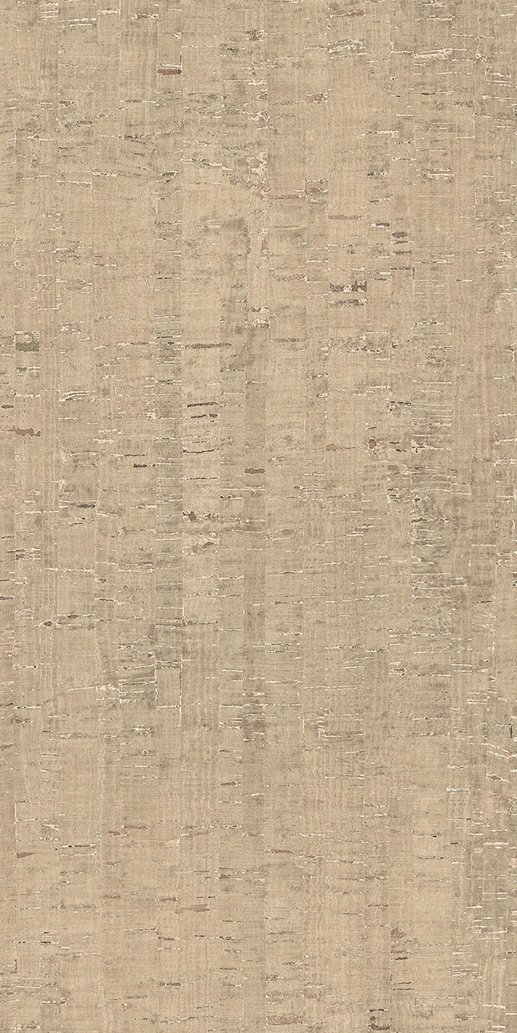 785592 На пол Rinascenza Modulo Conchiglia Matte 6mm 60x120 - фото 5