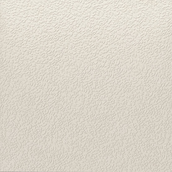 A037713 На стену Argillae Nisus Neve Rect 60х60